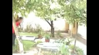 اهنگ، بابا اُمده ،سندی ،ته خنده:)))