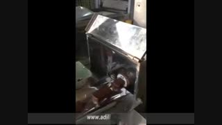 دستگاه بسته بندی خمیر خرما