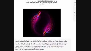 کدام هیولا مال شما خواهد شد؟ ( سلام خوشتیپ نماشا اومد^_^)