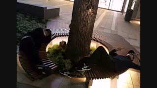 وای منم میخوام اونجا دراز بکشم T-T