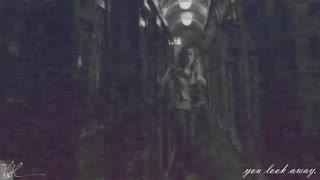 Draco Malfoy x Emily | This love will take my everything.