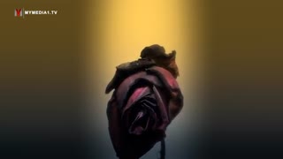 بمب های شیمیایی در سر دشت