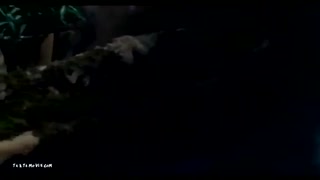 شهر موش ها ۲