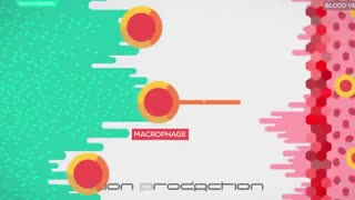 سیستم ایمنی بدن چگونه کار می کند؟؟