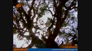 شهرستان زیبای  اسفراین(نگاهش ضرر نداره)