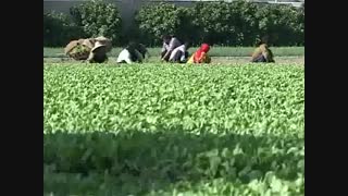 ازمایش نفوذ اب در خاک