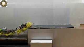 همکاری ربات های سوسکی برای بالا رفتن از پله