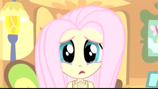 معرفی  فلاترشای انسانی