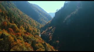 تریلر فیلم ترسناک The Woods