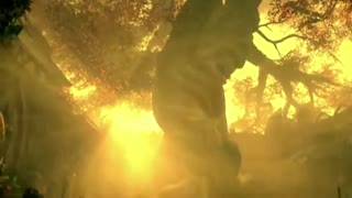 Shannara Chronicles series trailer