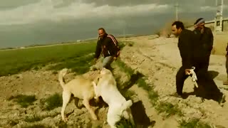 به وولوم دست نزنید!
