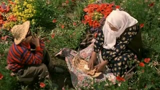 کلیپ با ترانه ی فوق العاده زیبای"خدا با ماست- با فیلم ایرانی رنگ خدا