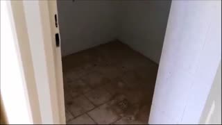 فیلم آپارتمان یک خوابه پروژه سامان