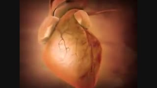 سیگار با شما چی کار می کنه حالا بازم سیگار بکشید