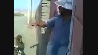 گوسفندان عزیز خواهش می کنم یکی یکی وارد شید