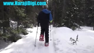 طراحی فوق زیبا در جنگل برفی