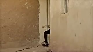 موزیک ویدئو «وارثین»