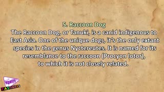 10 حیوان عجیب