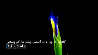 کلیپ جدید ماه دل آرا از مجید اخشابی به مناسب نیمه شعبان