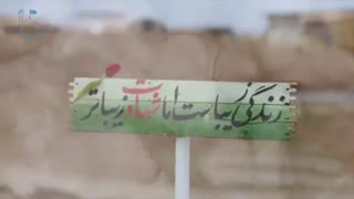 شهدایی که به نژاد آبرو دادند : استاد رائفی پور