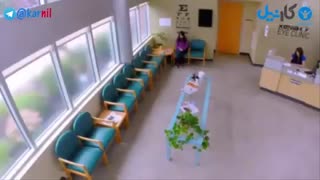 یادگیری اجتماعی