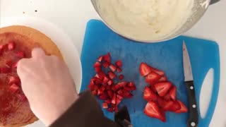 کیک اسفنجی ۱