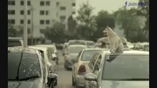 فیلم کوتاه محبت فراموش نشدنی