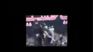 اگه دیوونه ندیده اید