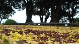 دعایی آرامش بخش و مناجاتی زیبا