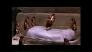 سوسک های خواننده