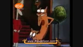 گربه سگ در باشگاه گربه ها