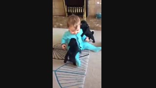 بچه بانمک باسگهاش