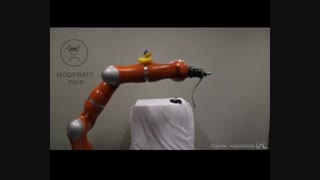 تلاش دو دانشمند آلمانی برای آموختن «حس درد» به ربات ها