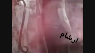 کلیپ بسیار زیبا از آرشام شخصیت رمان گناهکار