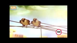 مجموعه کلیپ های هشت بهشت: پدر