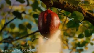 قسمتی زیبا از فیلم حضرت نوح(بازیر نویس)