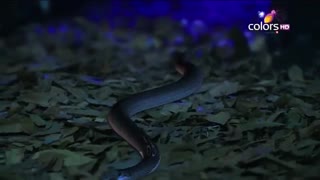 ناگین قسمت هفدهم