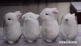 خخخ فامیلامو خخخخ