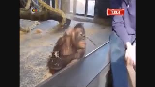 از خنده مرد@-@