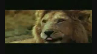 طنز کوتاه حیات وحش