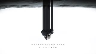 ZTAO - Underground King (Official Audio)