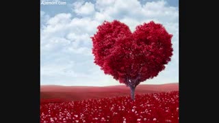 تقدیمی*my love*آخرین ویدیو