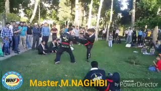 هاپکیدو - استاد نقیبی و شاگردان