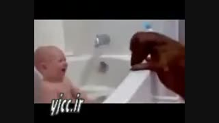 بازی بچه با سگ