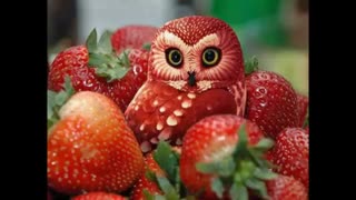 عکس های تزیین غذا