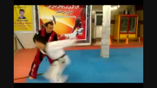 استاد نژند - توتال هاپکیدو  1