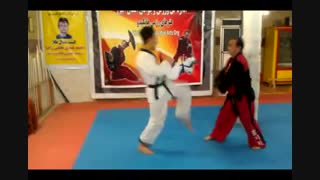 استاد نژند - توتال هاپکیدو - 2