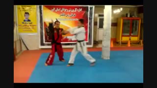 استاد نژند - توتال هاپکیدو - 3