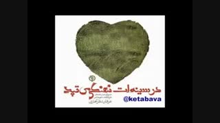 معرفی کتاب در سینه ات نهنگ می تپد