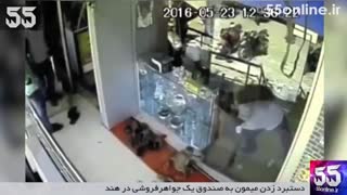 دستبرد زدن میمون به صندوق یک جواهرفروشی در هند